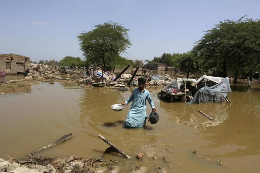 Stagnant floodwater breeding mosquitoes in Punjab 2025