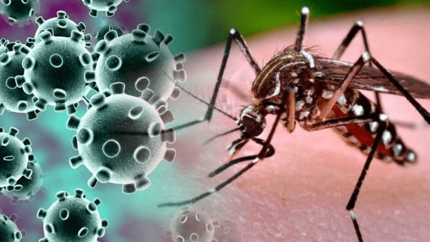Health workers spraying anti-mosquito chemicals in Punjab
